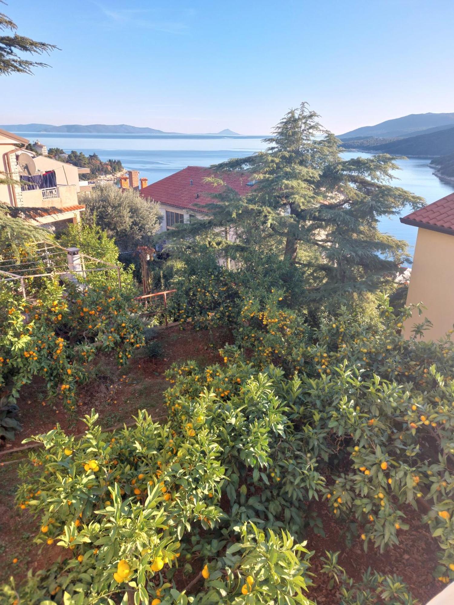 Casa Panorama Sunset Lägenhet Rabac Exteriör bild
